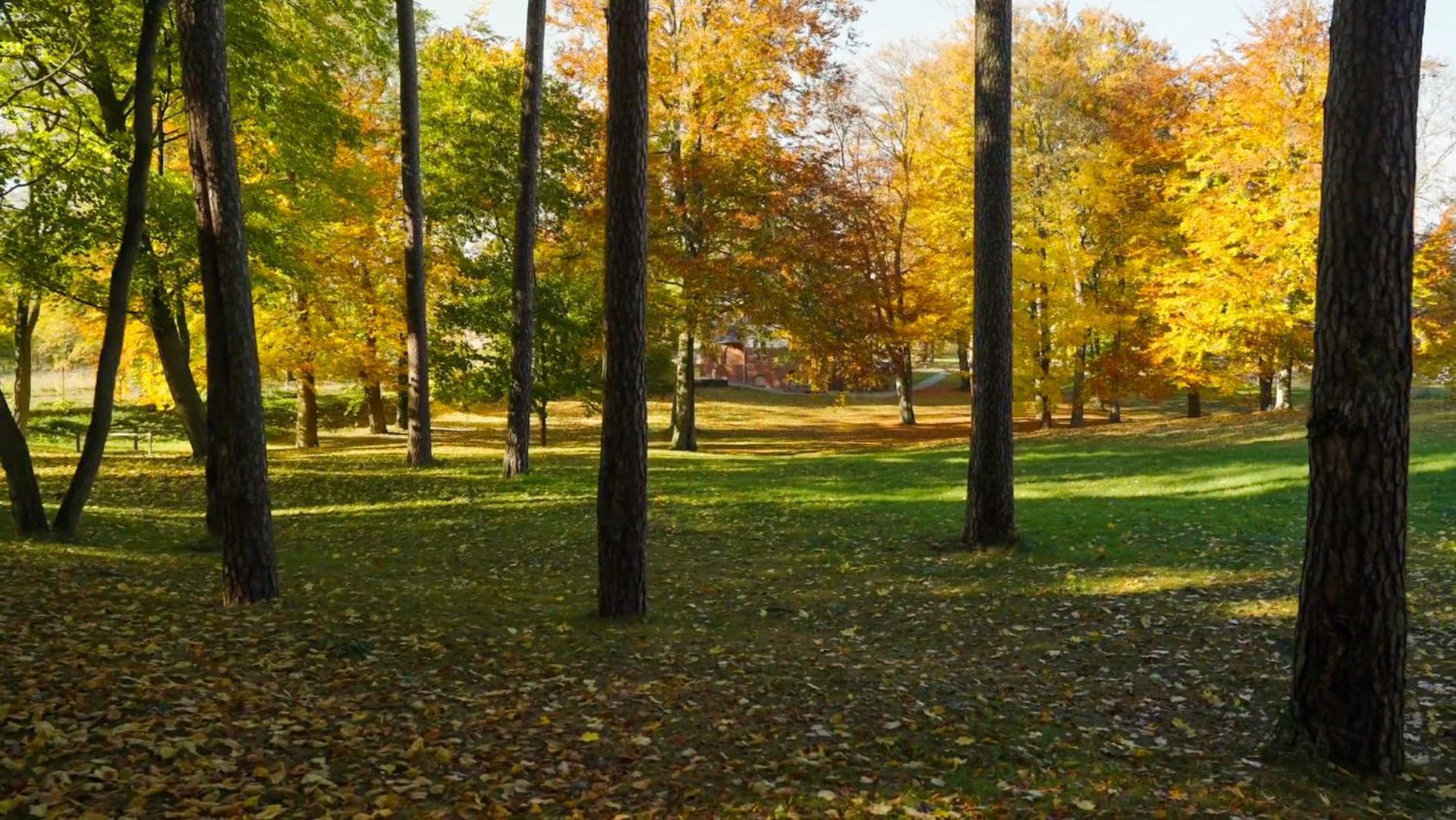 Parkresidenz Lychen, 5 *